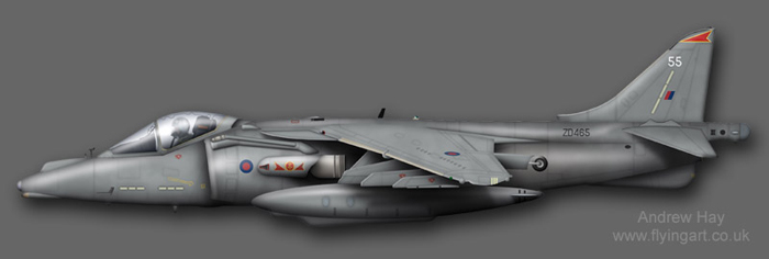 Harrier GR.9 ZD465 800 NAS Naval Strike Wing 